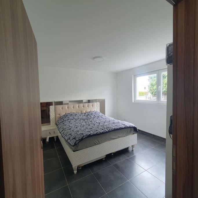 Bel Appartement Rez De Jardin Horbourg Екстер'єр фото