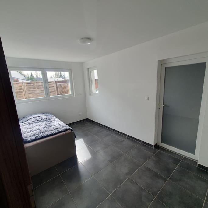Bel Appartement Rez De Jardin Horbourg Екстер'єр фото